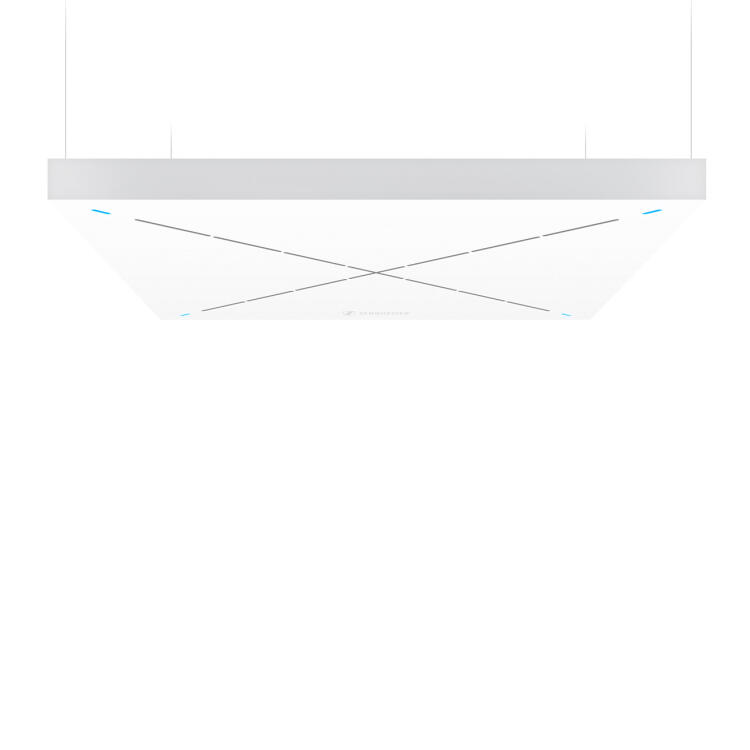TeamConnect Ceiling 2